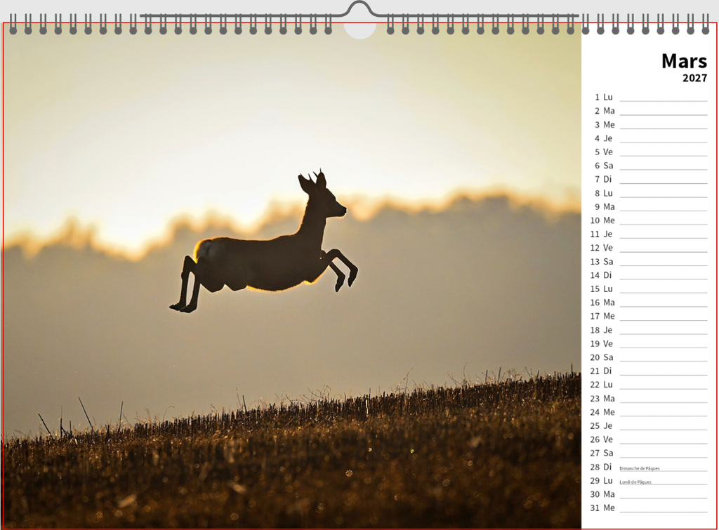 Capture d’écran 2026-03-20 à 22.46.13.webp