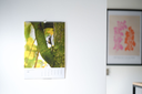 DSC_2974.webp